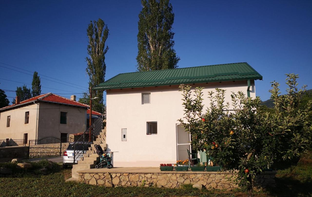 Villa Lila Dolno Dupeni Esterno foto