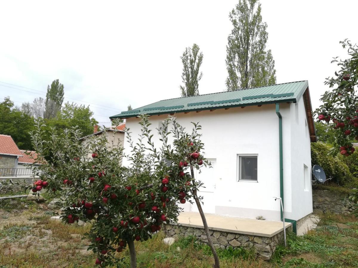 Villa Lila Dolno Dupeni Esterno foto