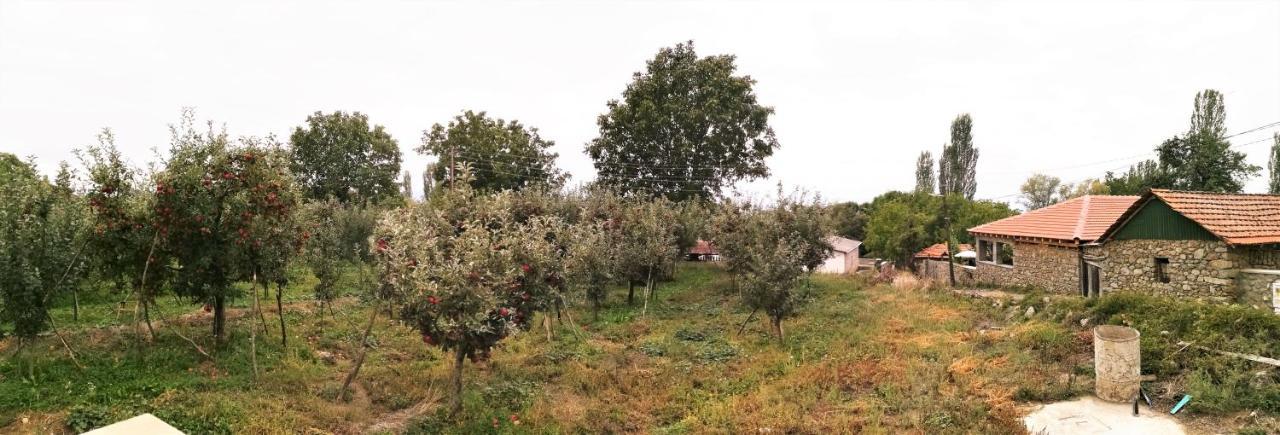 Villa Lila Dolno Dupeni Esterno foto