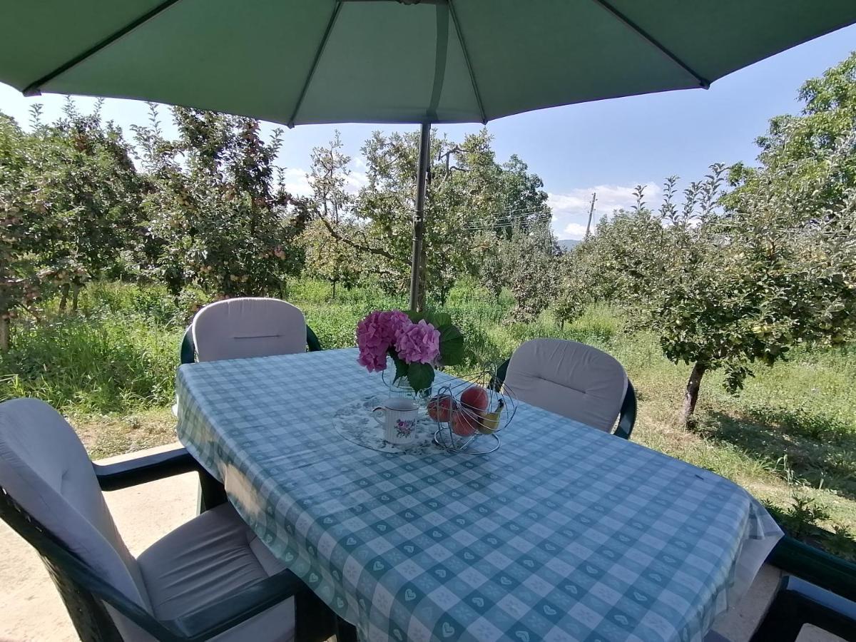 Villa Lila Dolno Dupeni Esterno foto