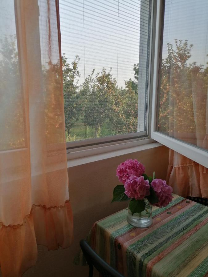 Villa Lila Dolno Dupeni Esterno foto